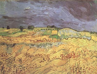 Vincent Van Gogh The Fields (nn04) China oil painting art